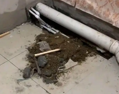 原阳卫生间漏水检测哪家好