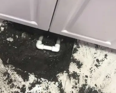 原阳查漏水哪家好