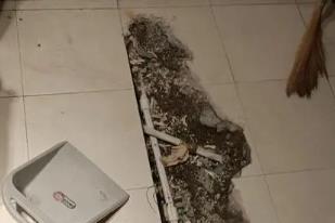 原阳卫生间漏水检测电话
